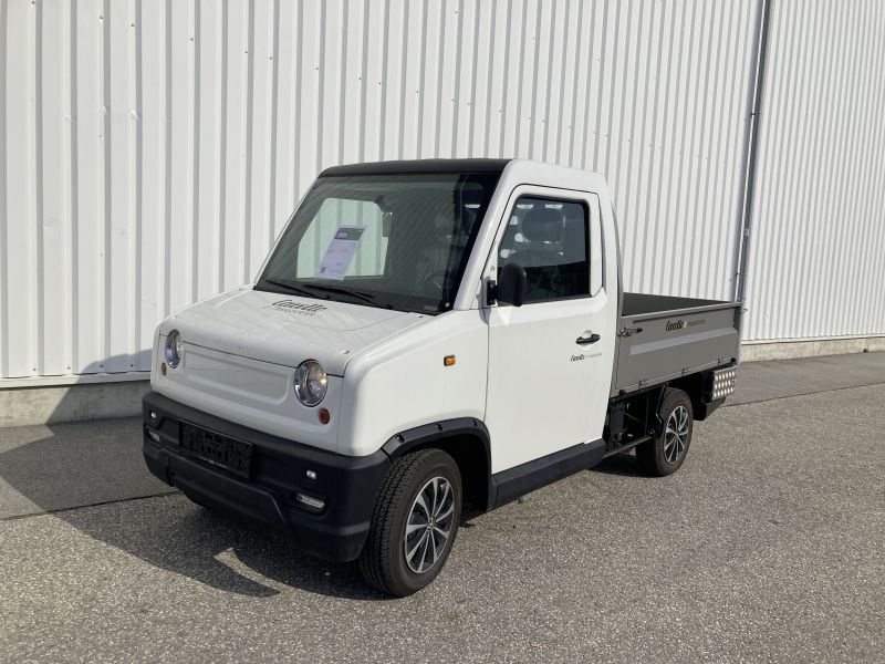 E-TRANSPORTER TR100